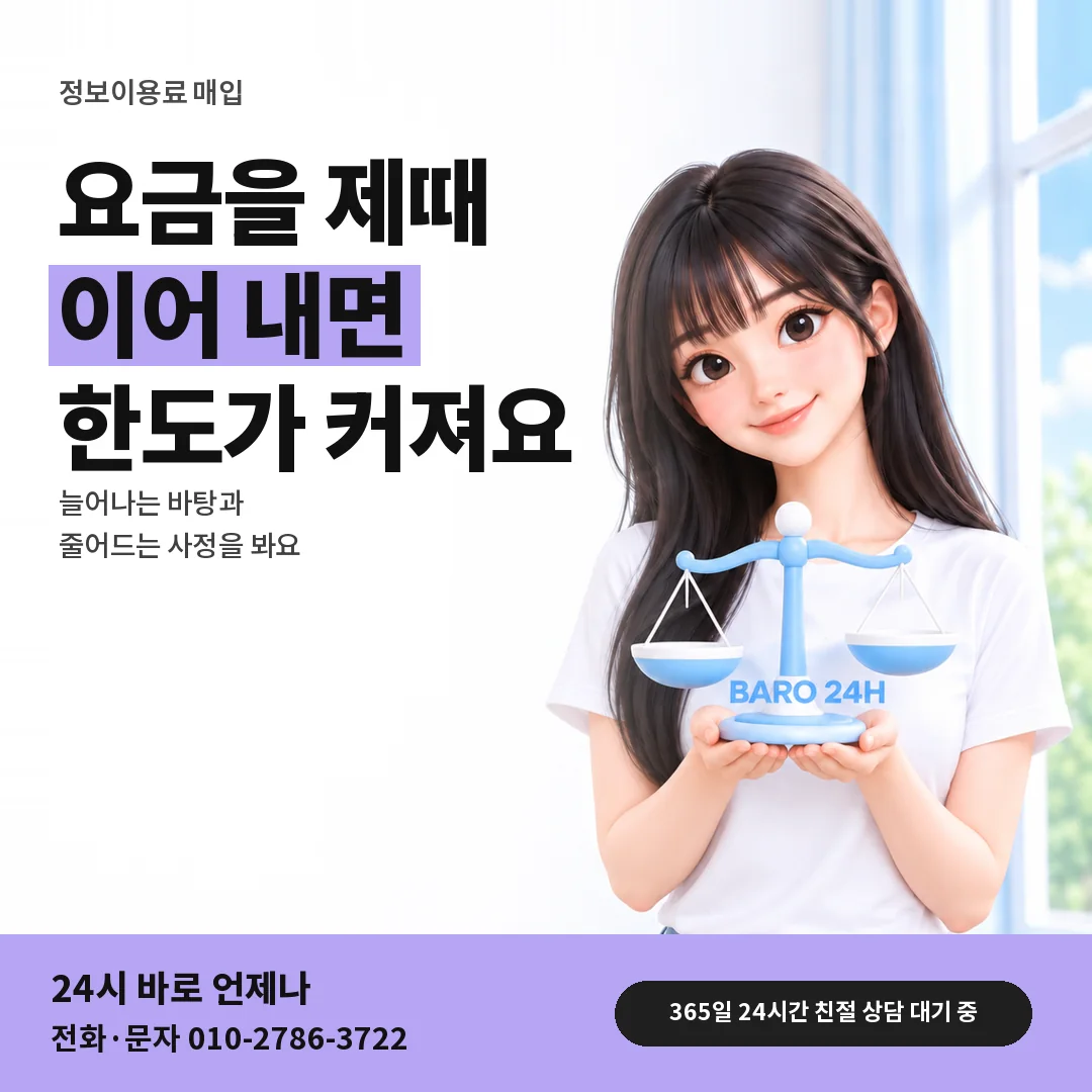 저울을 든 BARO 24H 티셔츠를 입은 3D 인물 옆에 「한도가 늘어나는 조건」 제목을 얹은 안내 카드