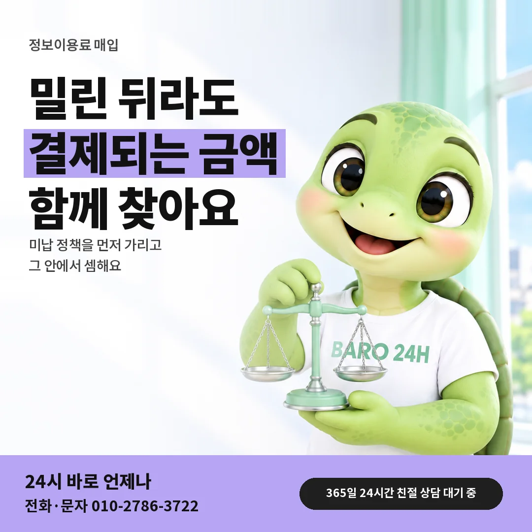 저울을 든 BARO 24H 티셔츠를 입은 3D 거북이 캐릭터 옆에 「미납 뒤 줄어든 한도」 제목을 얹은 안내 카드