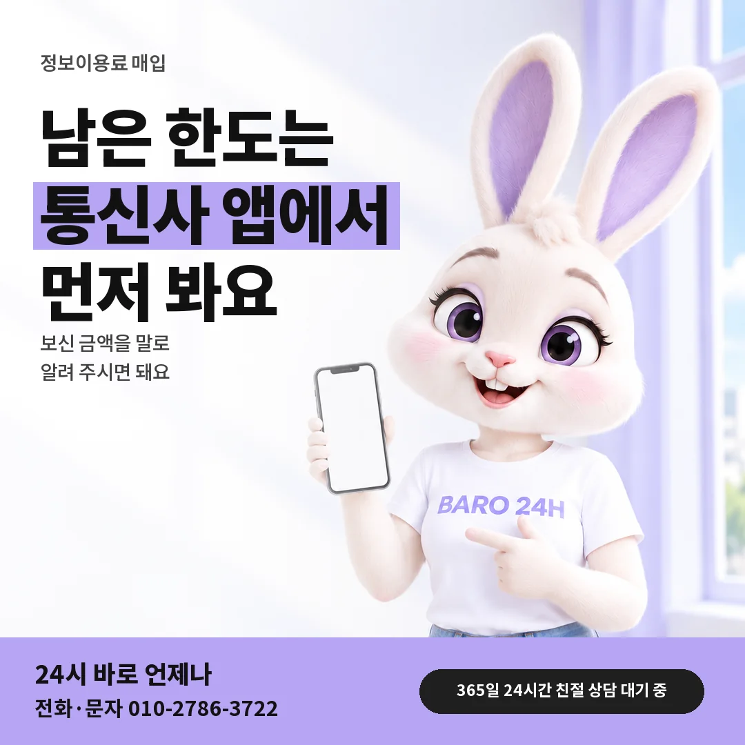 BARO 24H 티셔츠를 입은 3D 토끼 캐릭터 옆에 「남은 정보이용료 한도 보기」 제목을 얹은 안내 카드